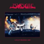 Live @ Reading 1980 - NP34V - 12inch
